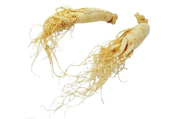 Root ginseng is a folk remedy for increasing male potency